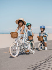 Banwood Classic Bike