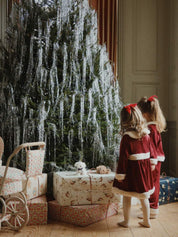 Velvet Double Bow Hair Clips 2 Pack - Barbados Cherry