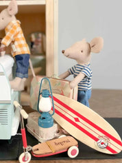 Big Brother Mouse - Louismax