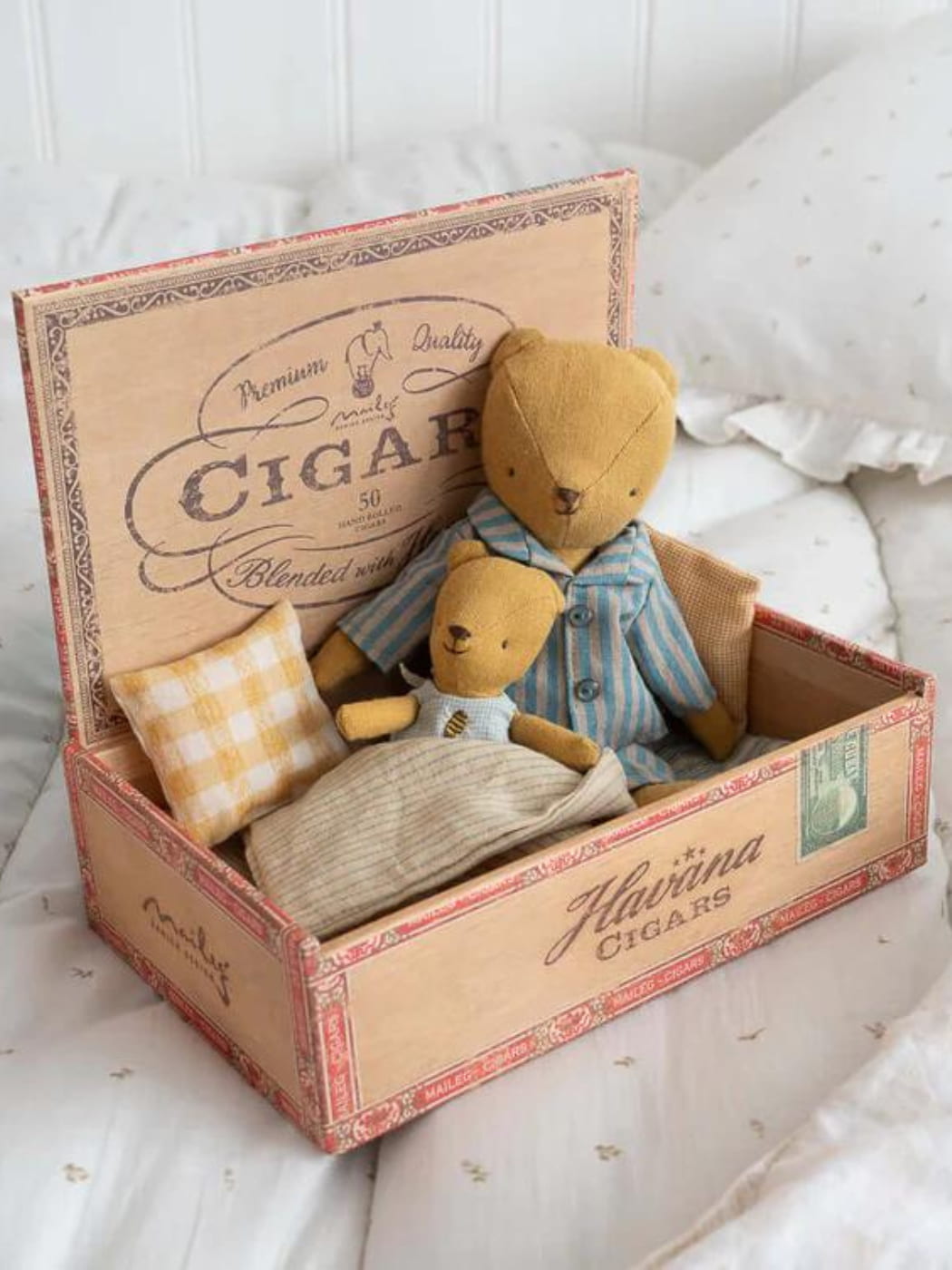 Teddy Junior