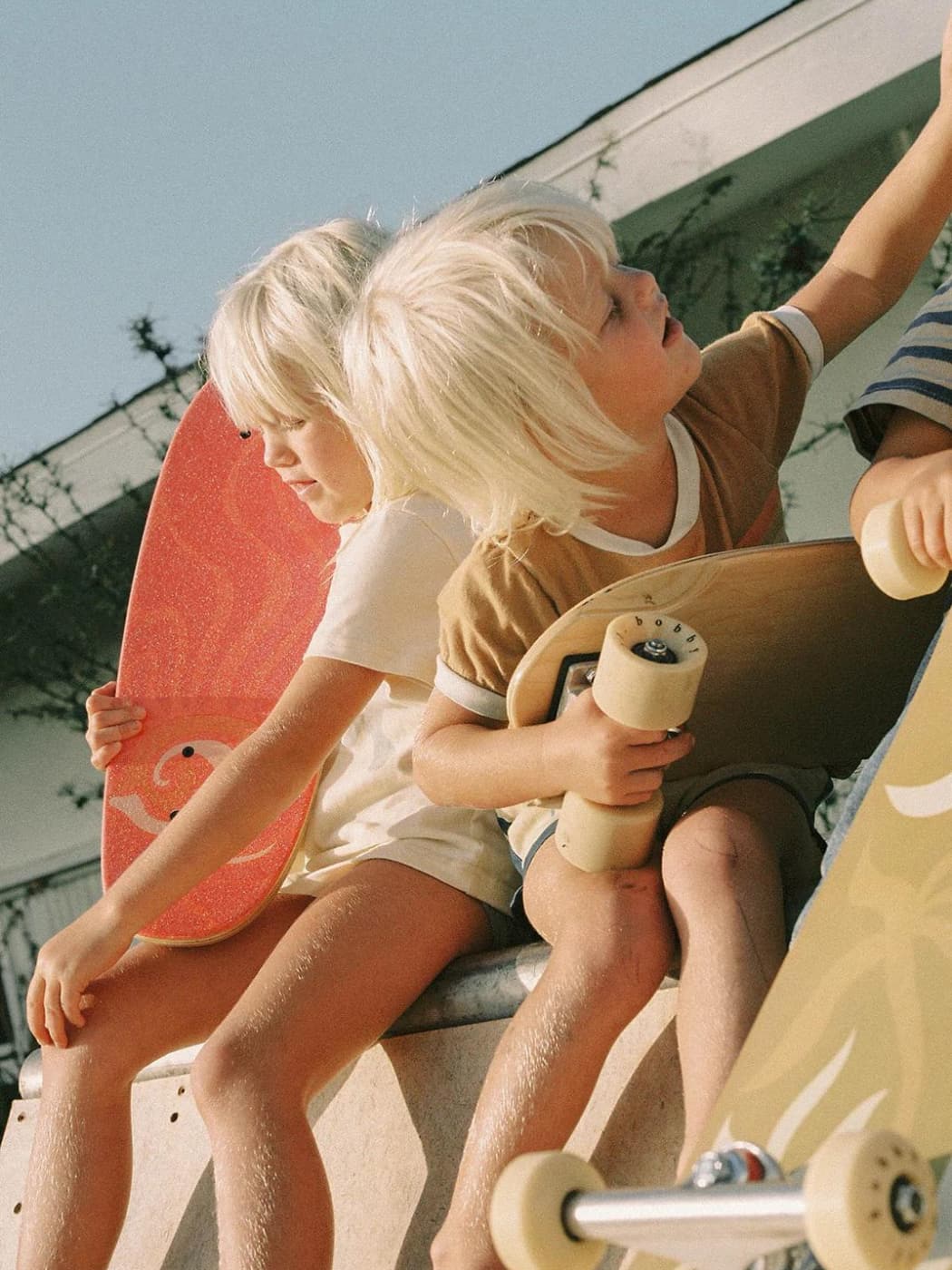 Cruiser Skateboard - Zippy's