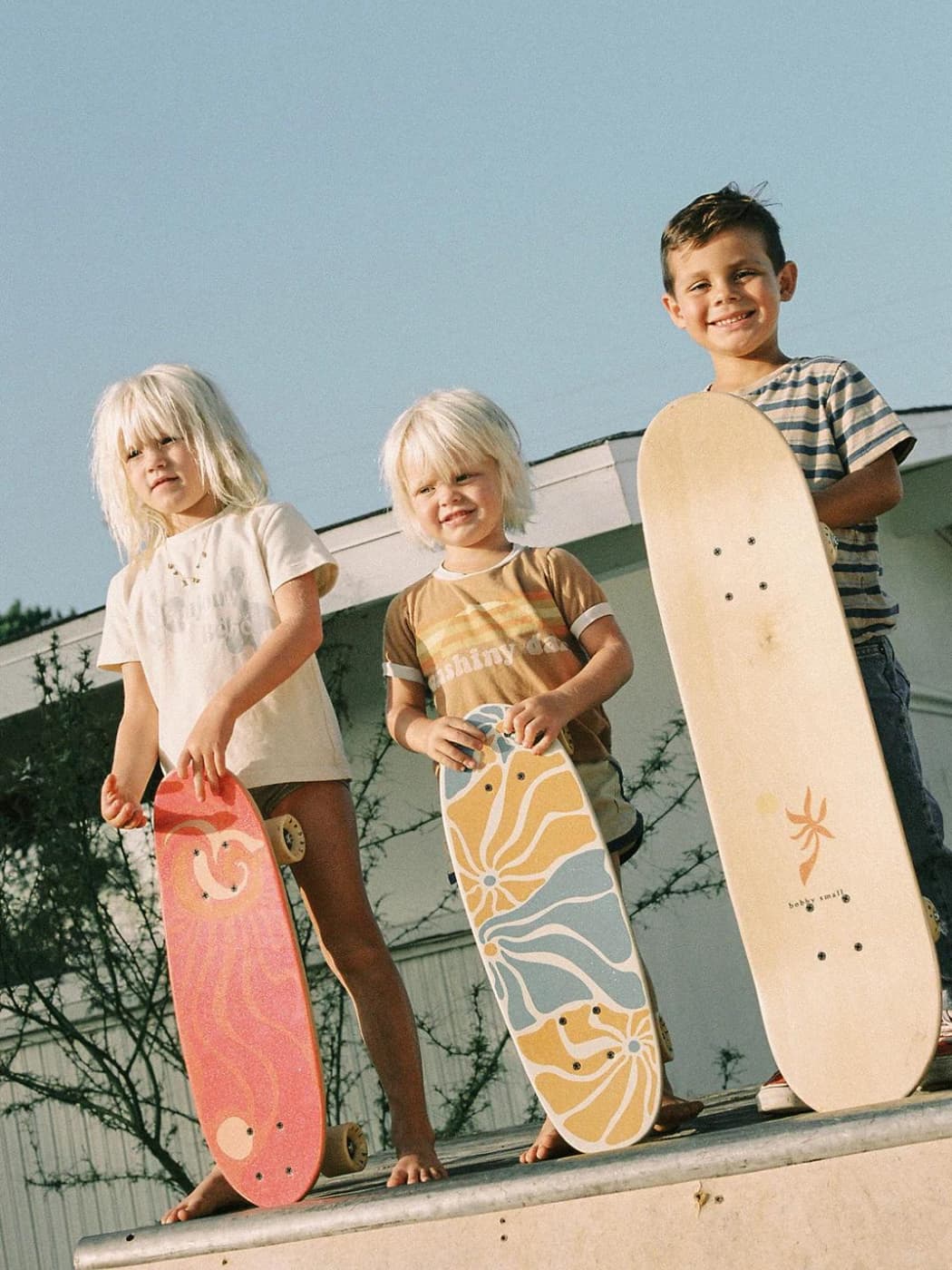 Cruiser Skateboard - Zippy's