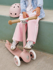 Banwood Eco Scooter
