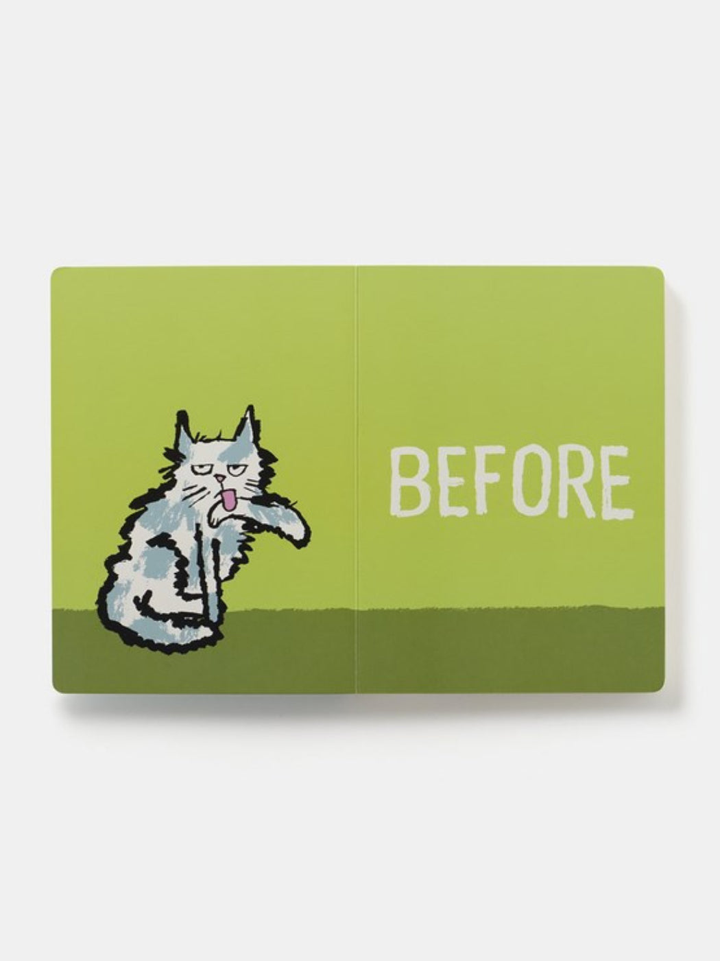 Before & After