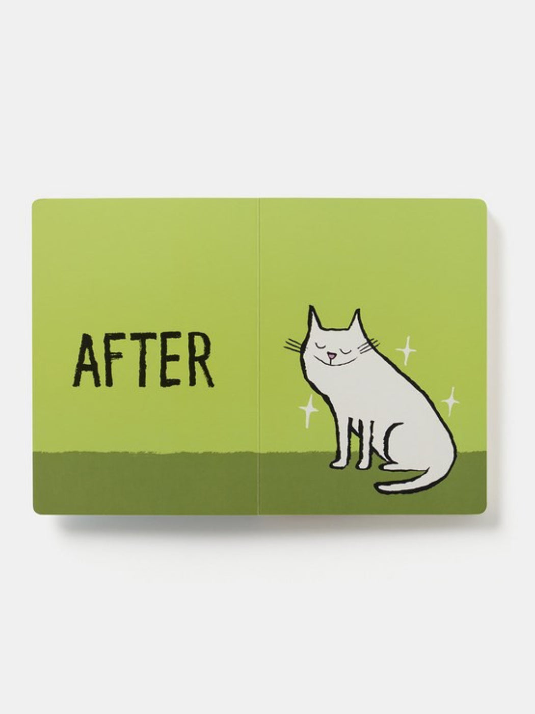 Before & After
