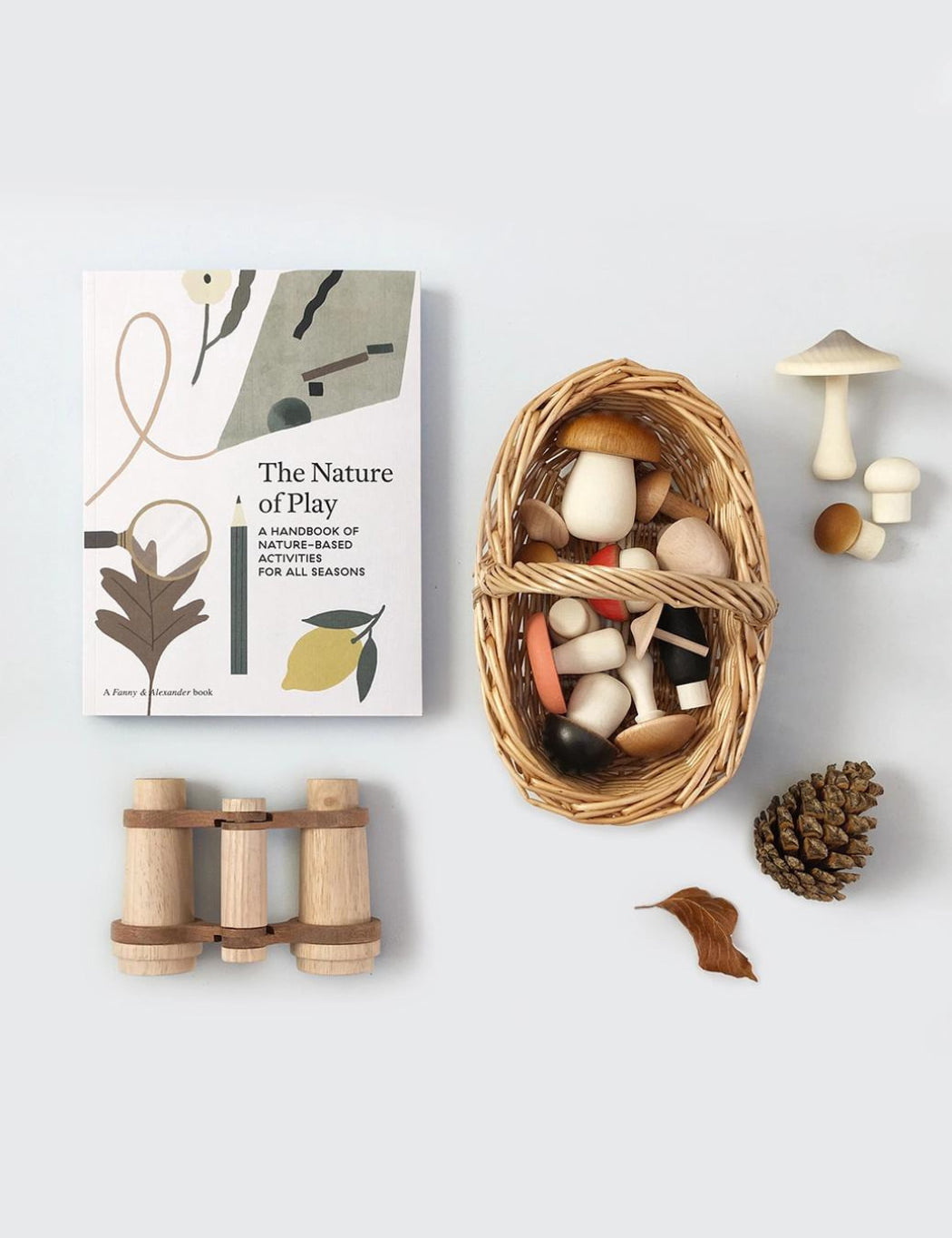 The Nature of Play Book