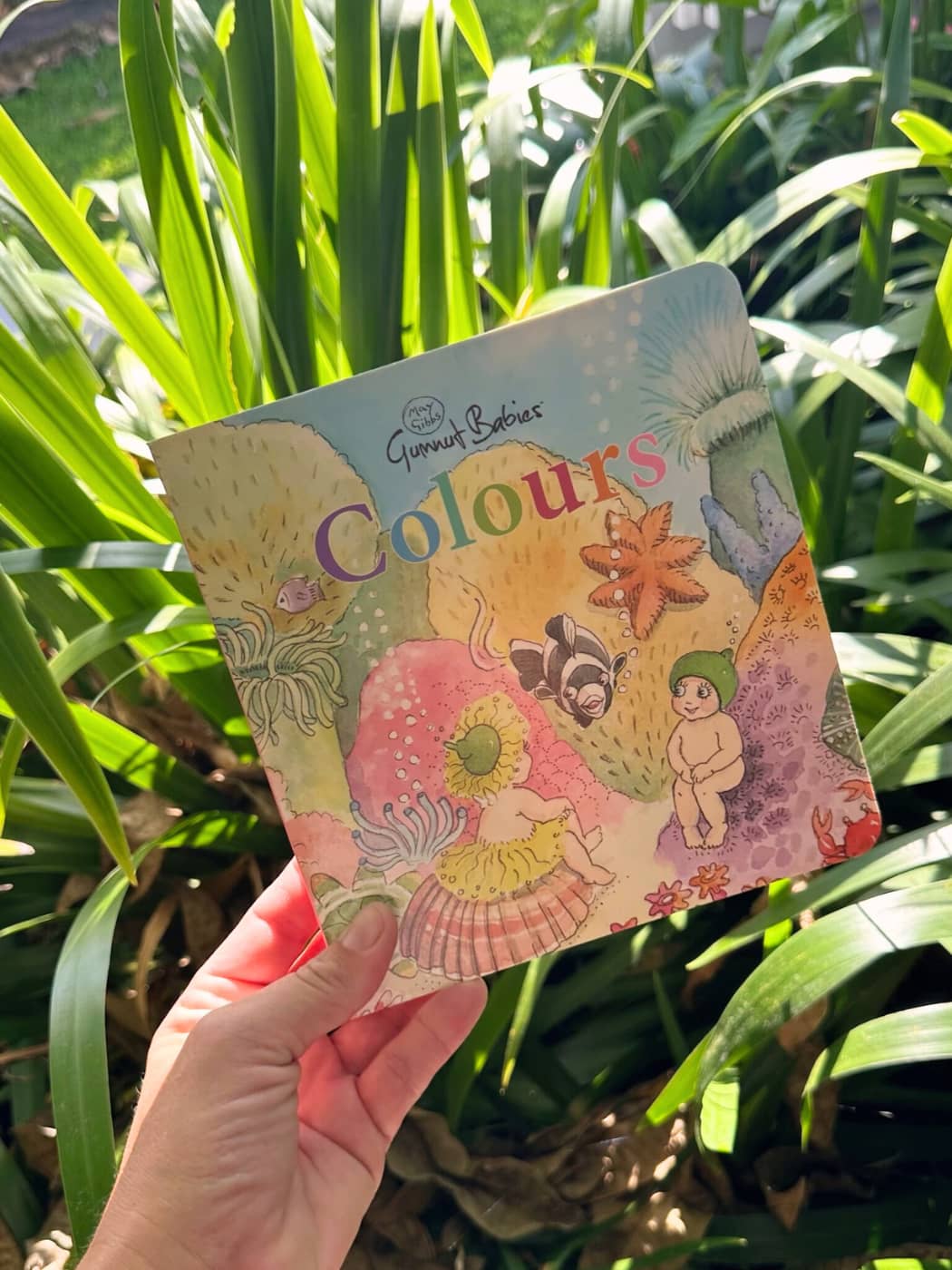May Gibbs Gumnut Babies: Colours