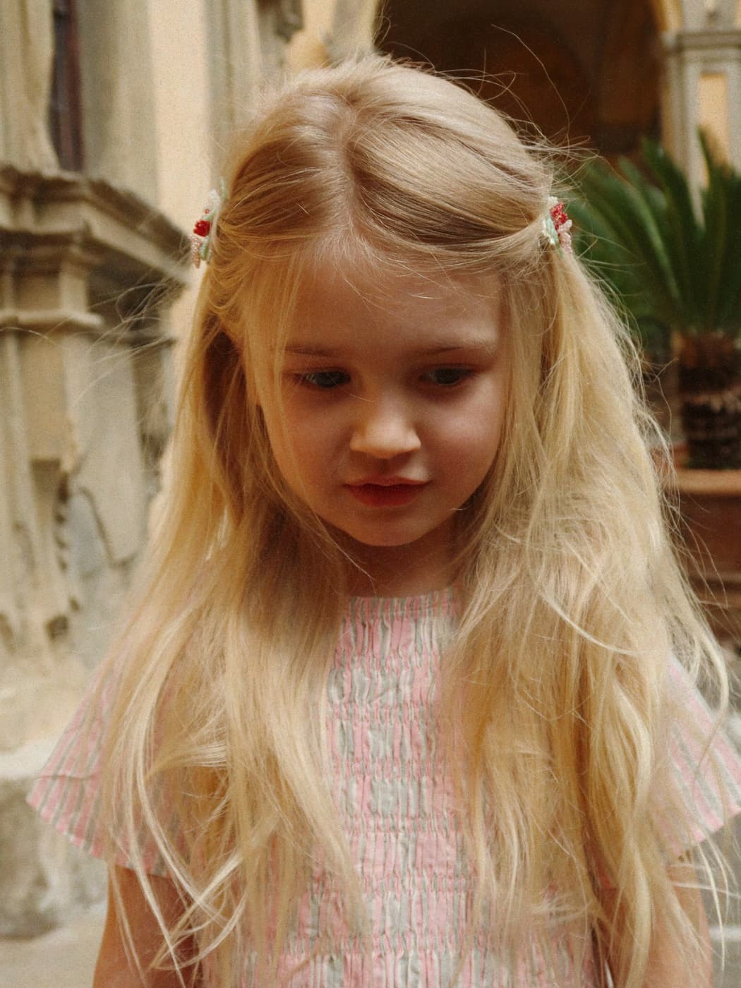 Flower Field Hair Clips 2 Pack