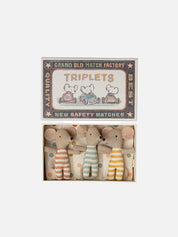 Triplet Baby Mice in Matchbox