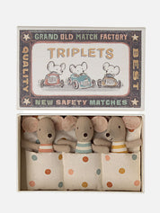 Triplet Baby Mice in Matchbox
