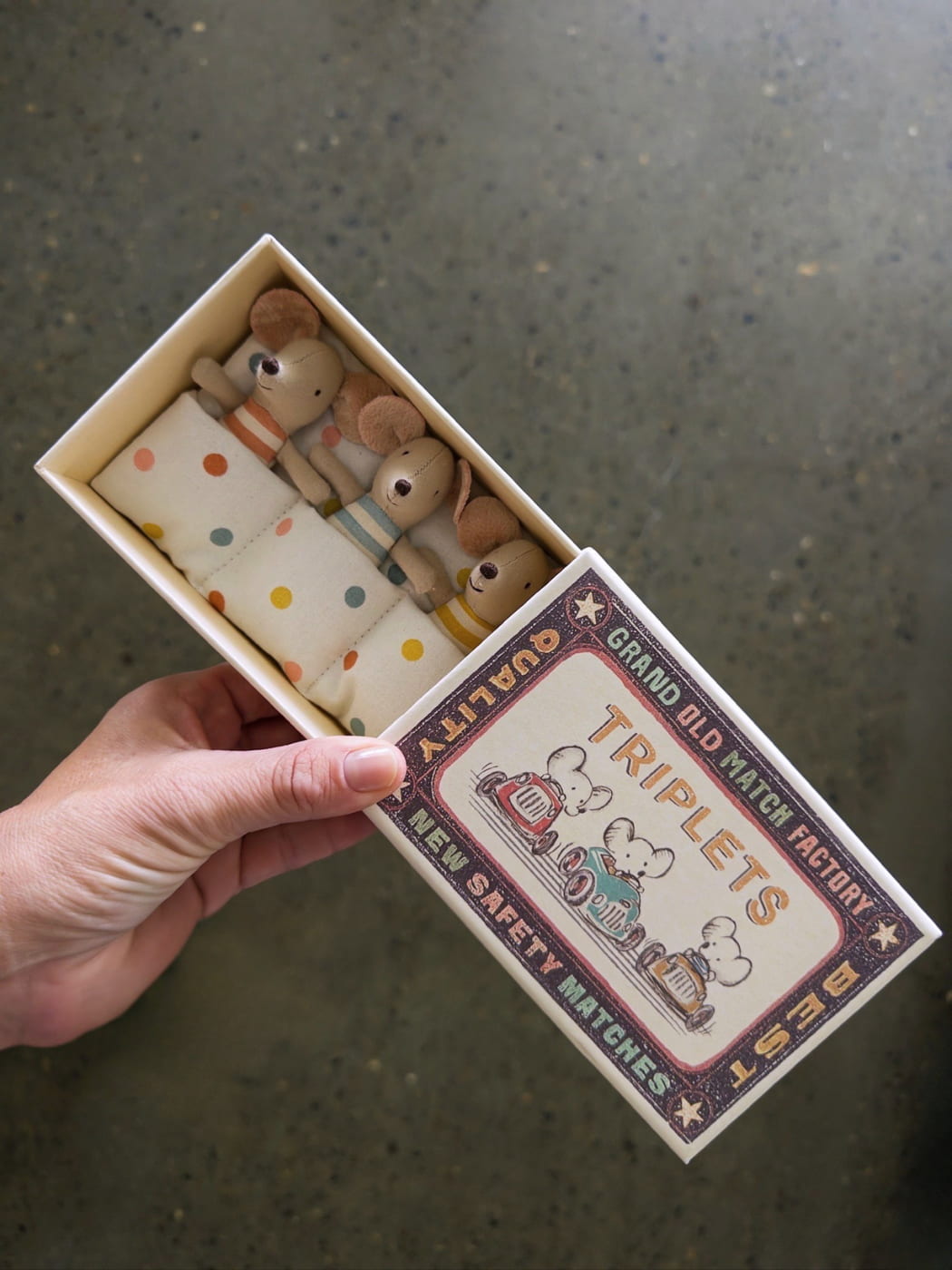 Triplet Baby Mice in Matchbox