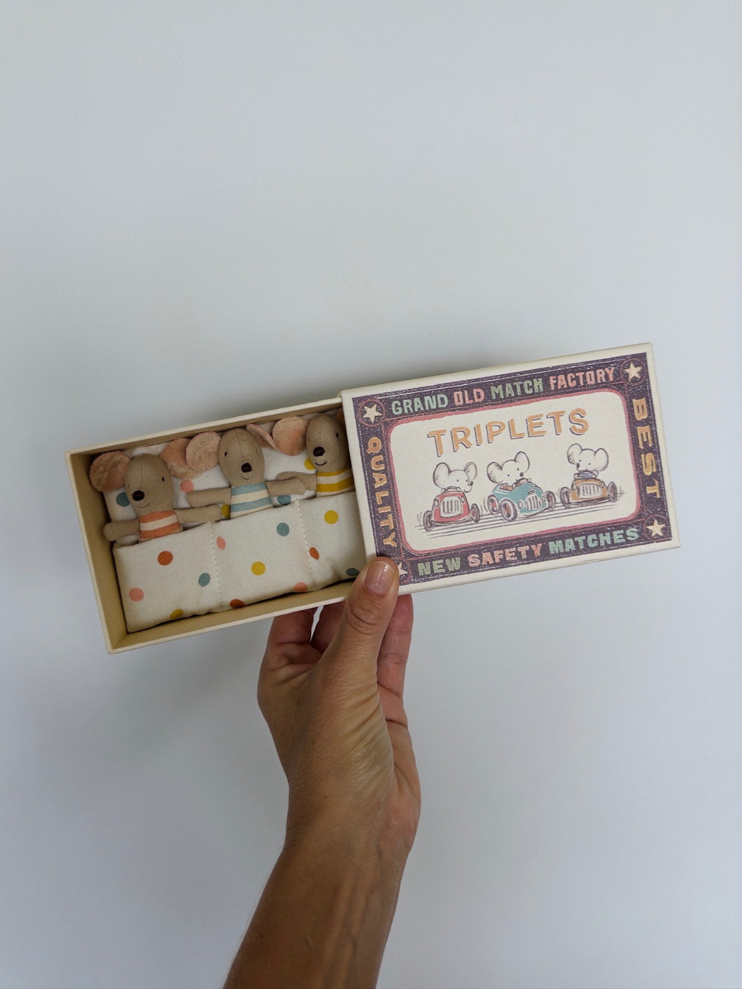 Triplet Baby Mice in Matchbox