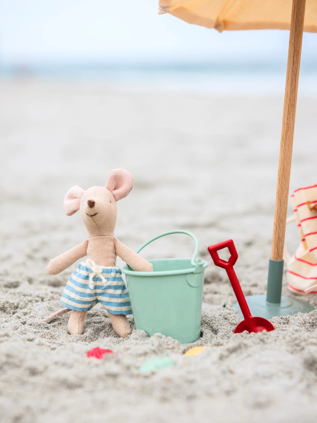 Beach Mouse - Little Brother in Cabin