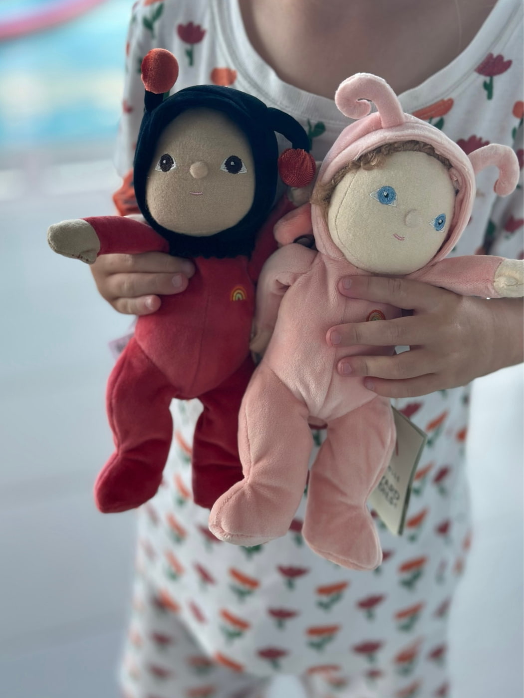Dinky Dinkum - Lola Ladybug