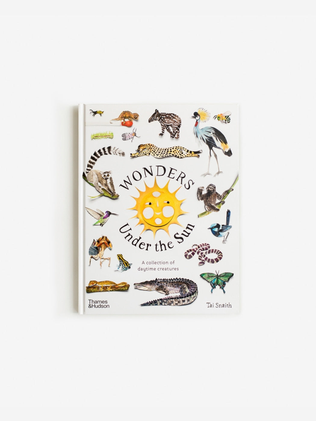 Wonders Under the Sun
