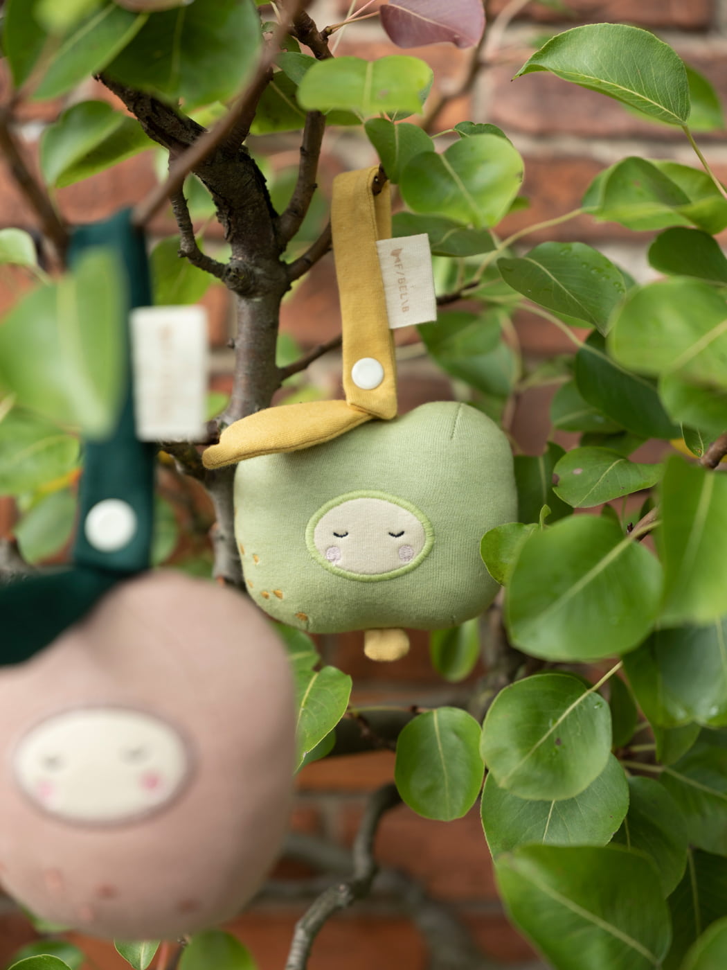 Green Apple Activity Toy