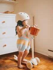 Banwood Scooter