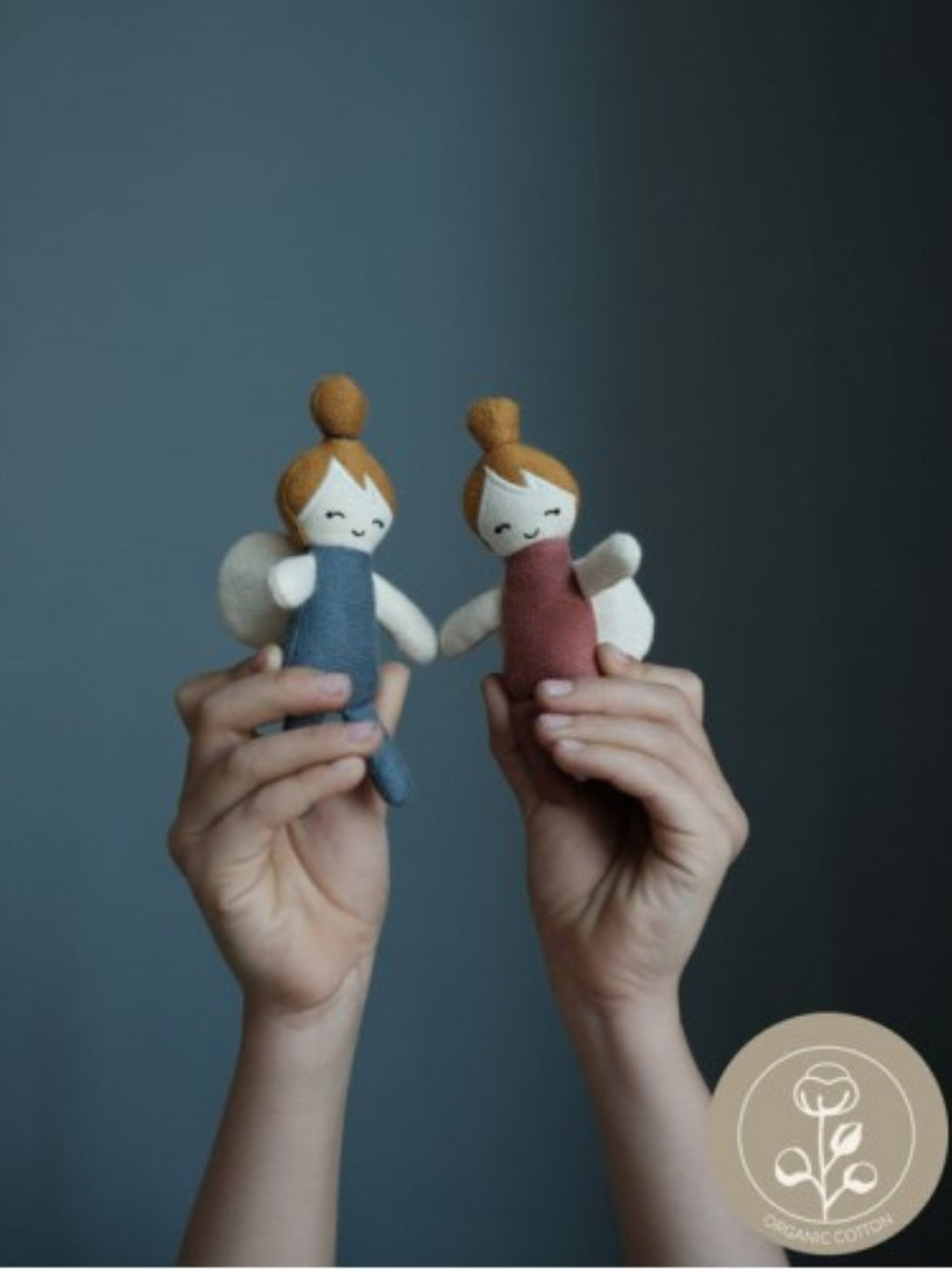 Pocket Friend - Fairy