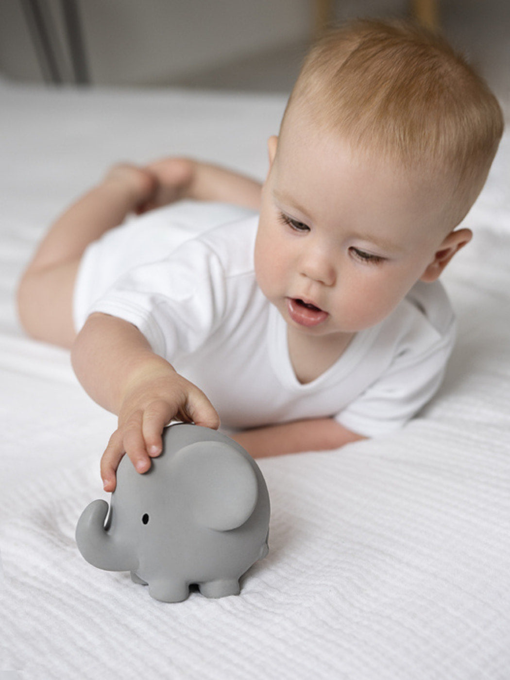 Rubber Elephant