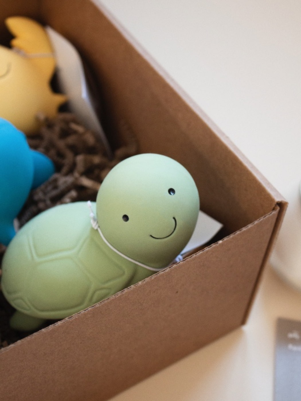 Rubber Turtle