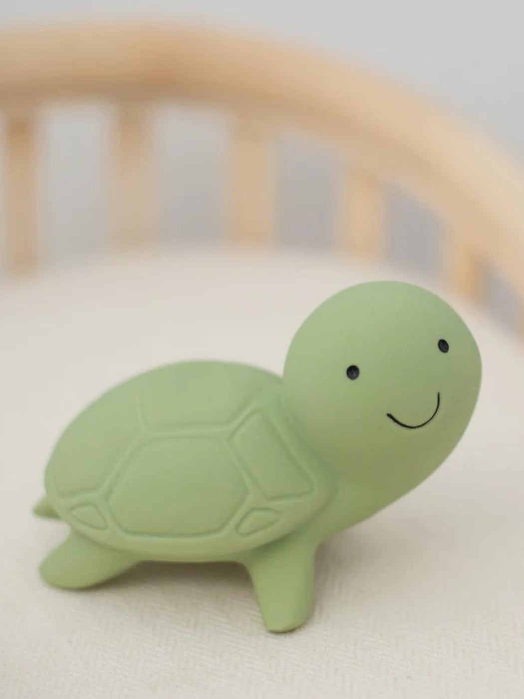 Rubber Turtle